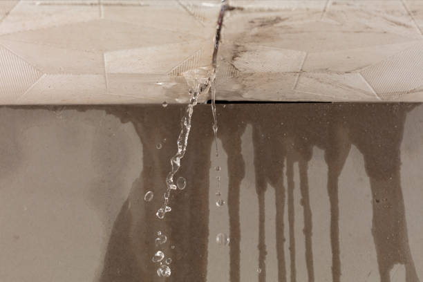 Professional Water Damage Repair technician working in Ledgewood, NJ